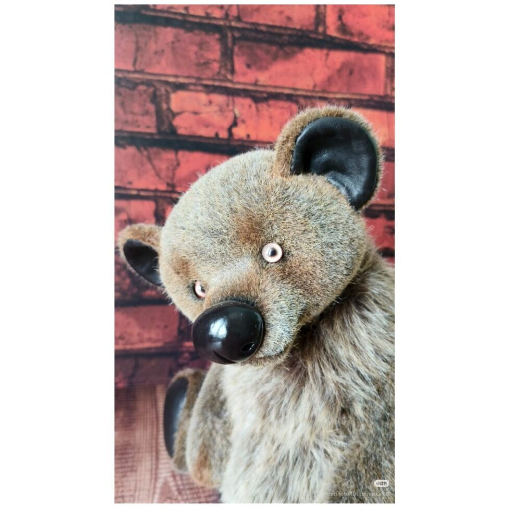 Mishkoyozh. Teddy bear