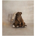 Teddy