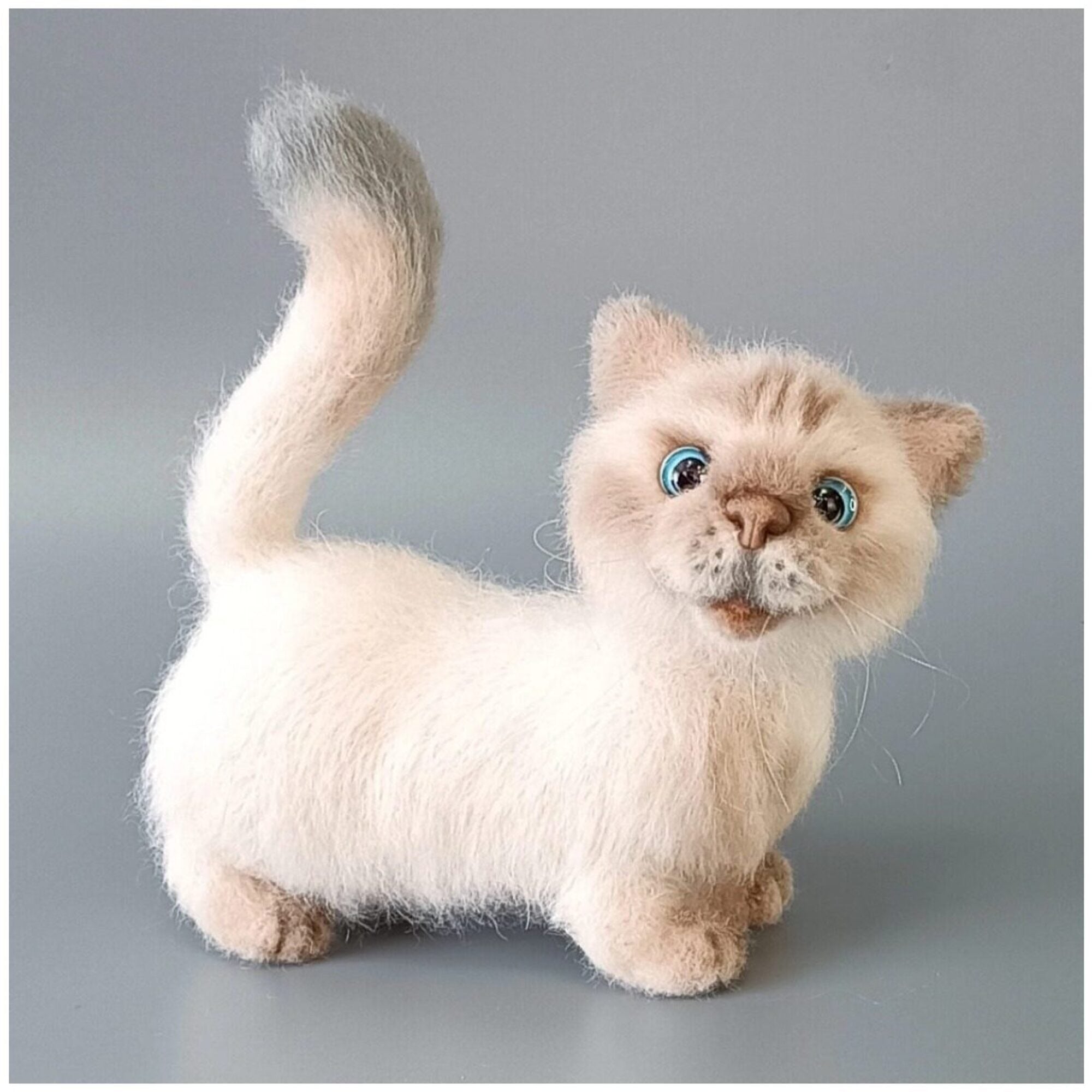 Котик