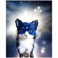 Traveler cat