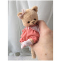 Teddy cat