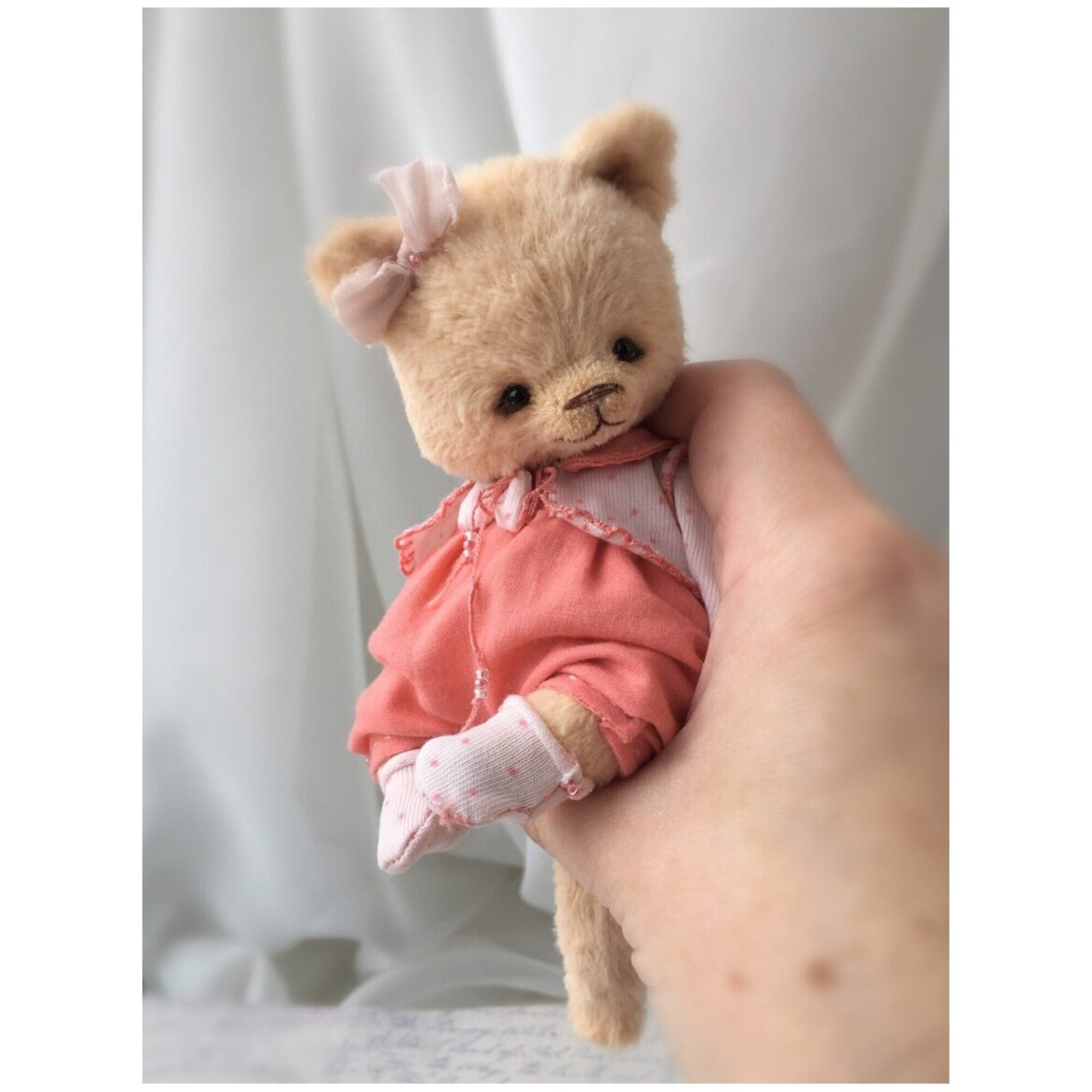 Teddy cat