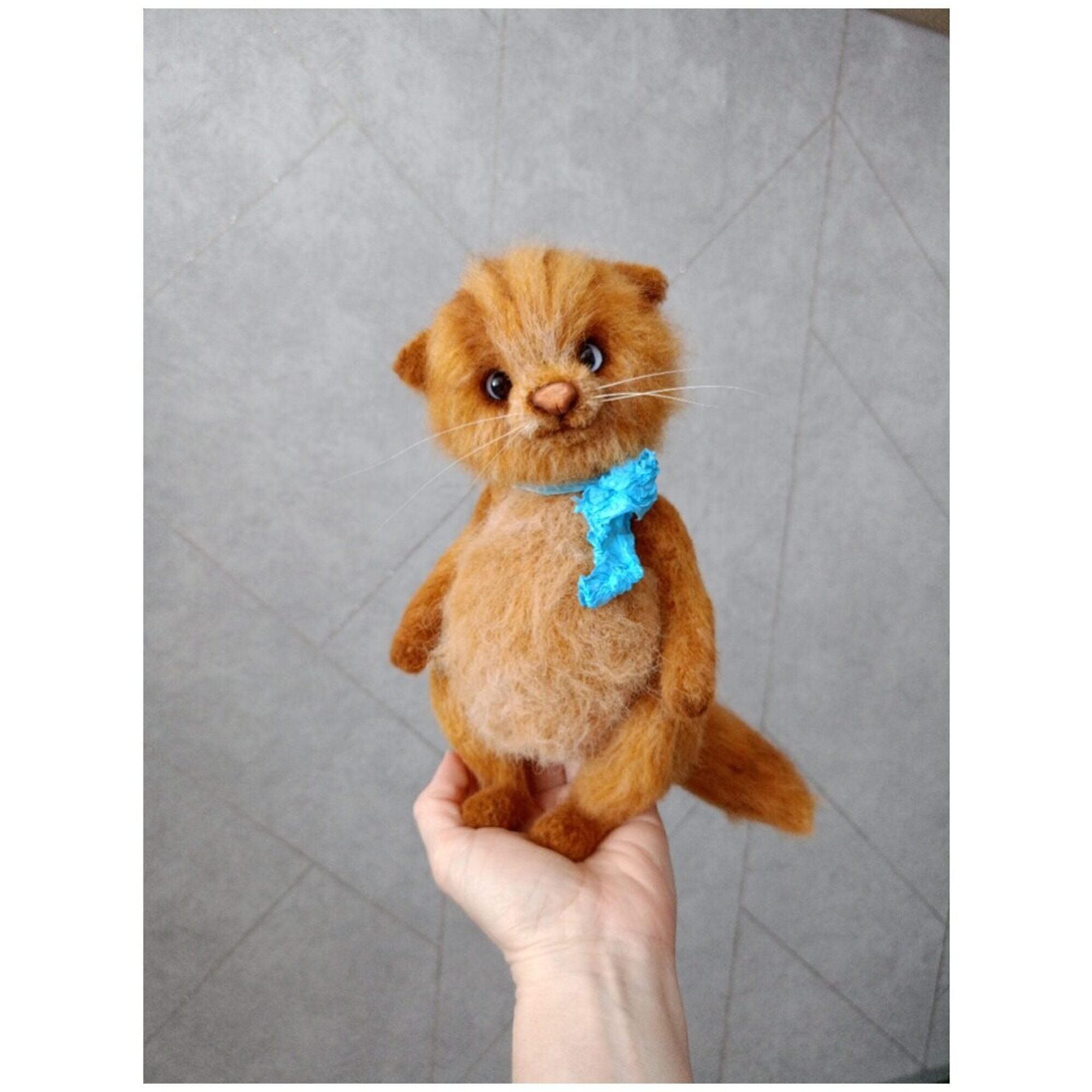 Котик Тедди