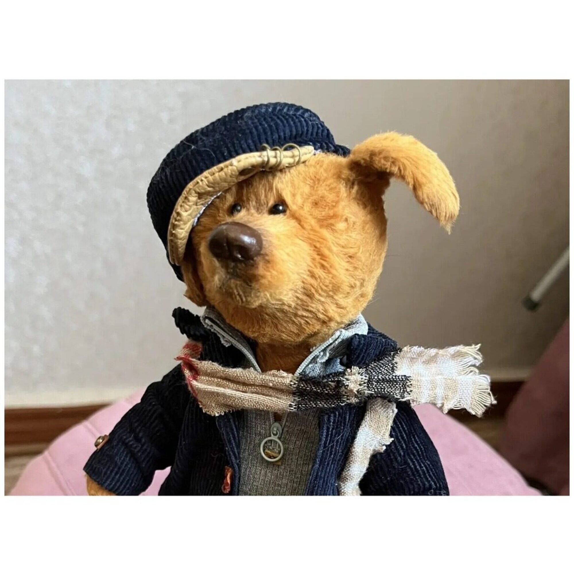 Пес тедди