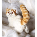 Котенок