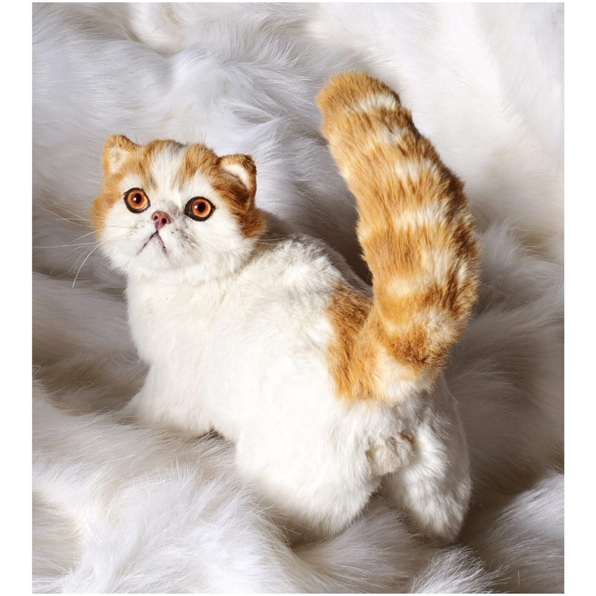 Котенок