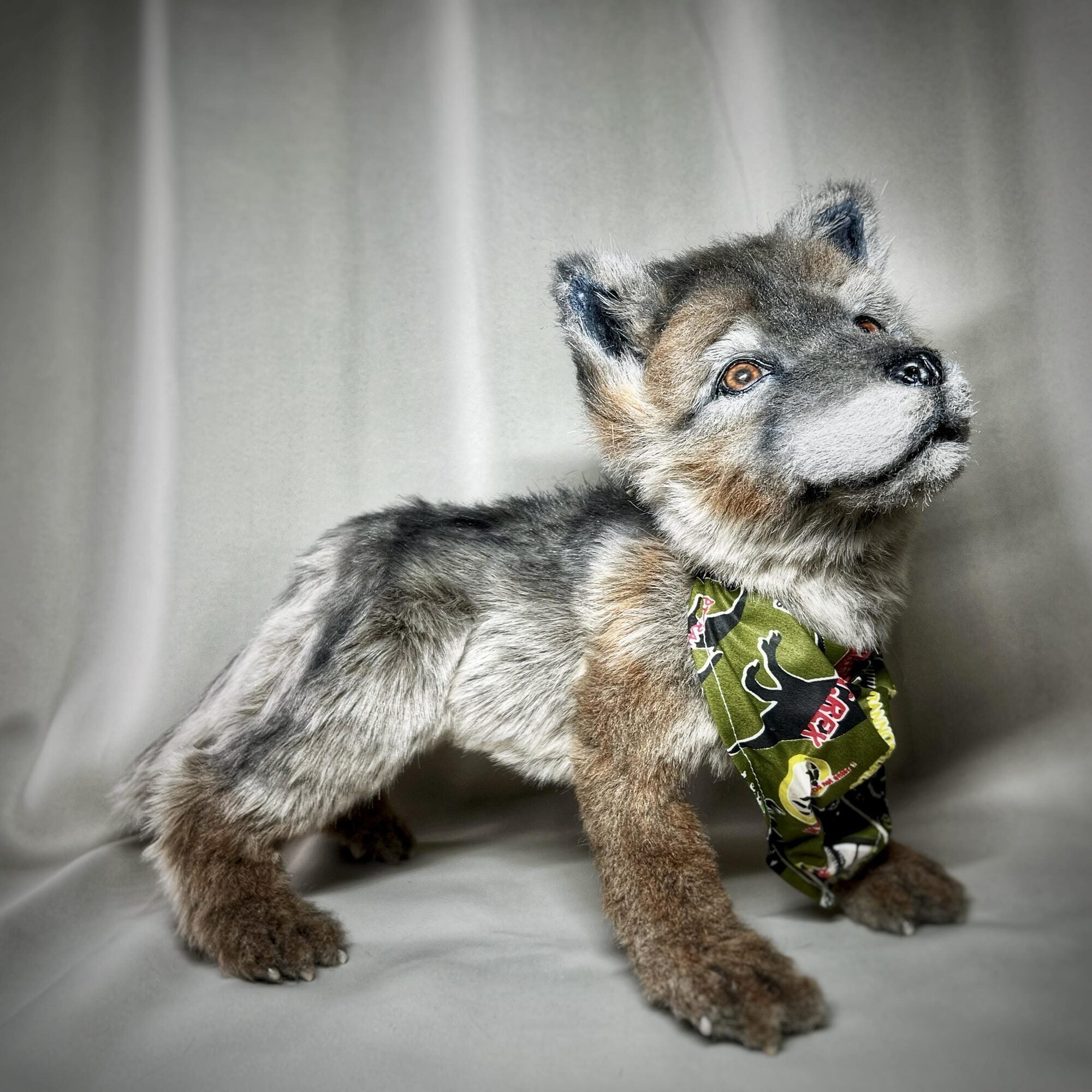 Wolf cub