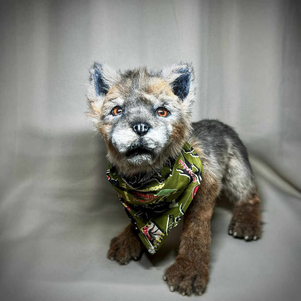 Wolf cub