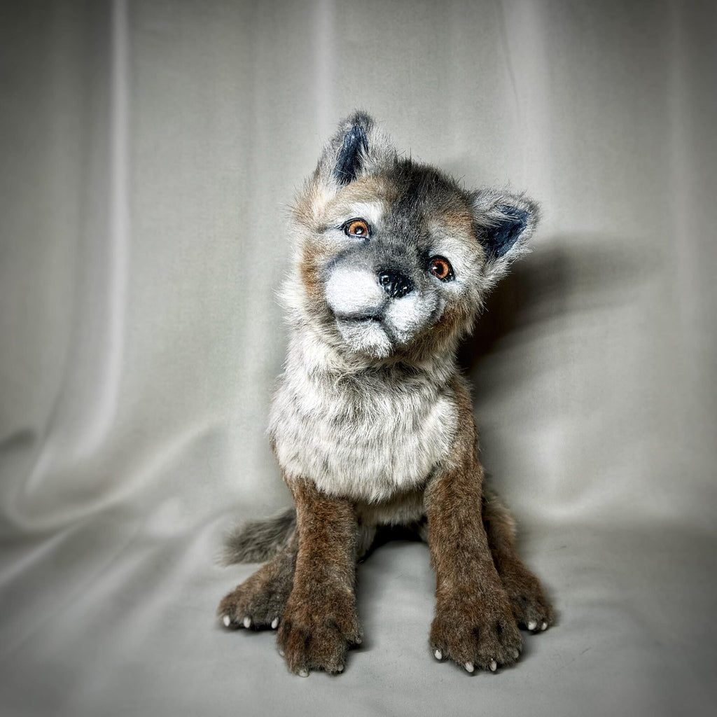 Wolf cub