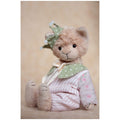 Teddy cat Claire