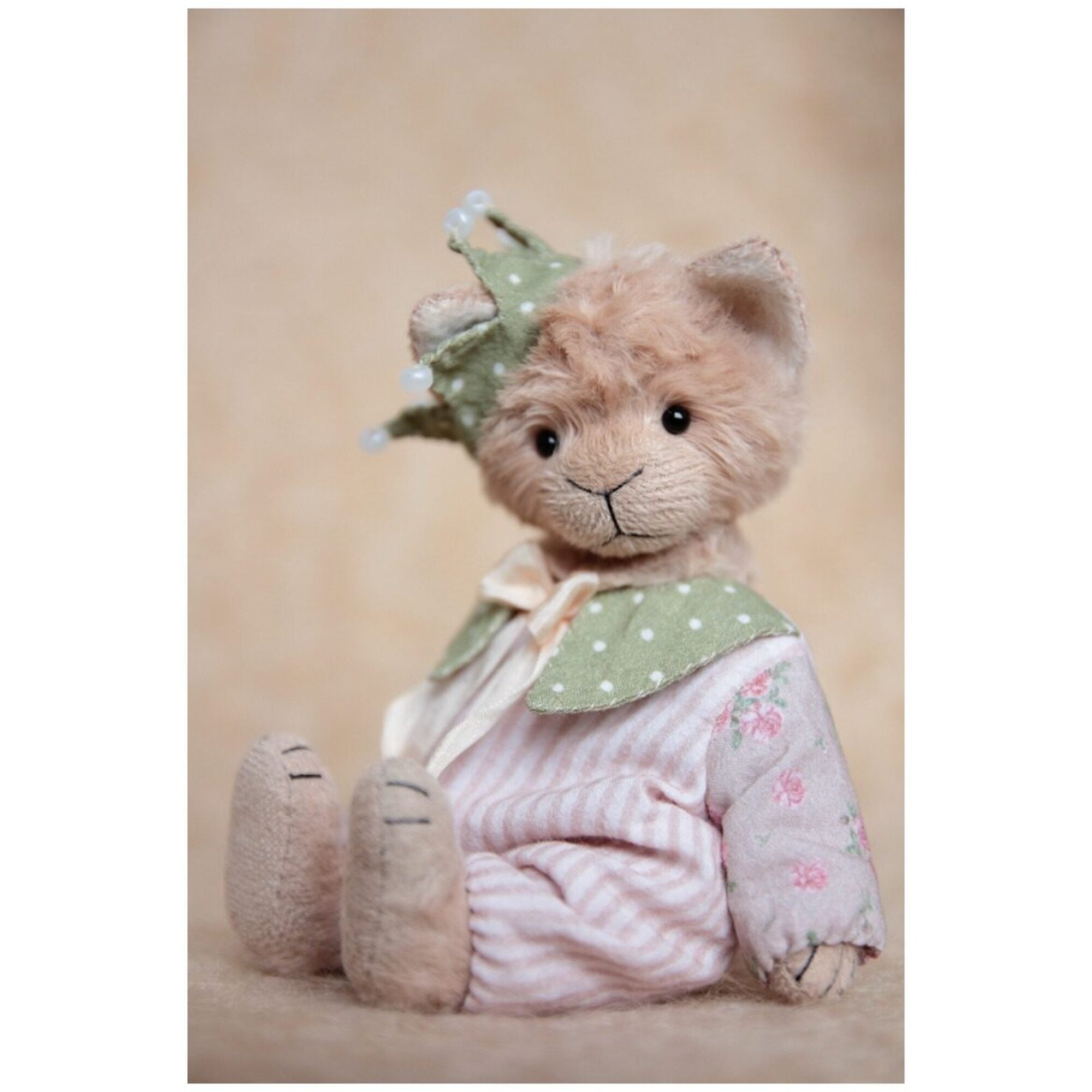 Teddy cat Claire