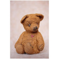 Teddy bear Barney