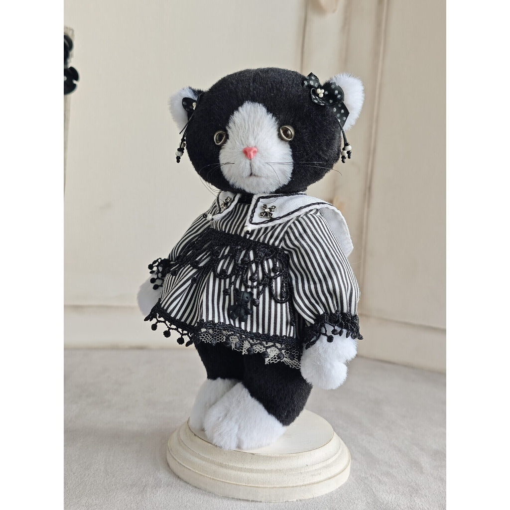 Teddy cat