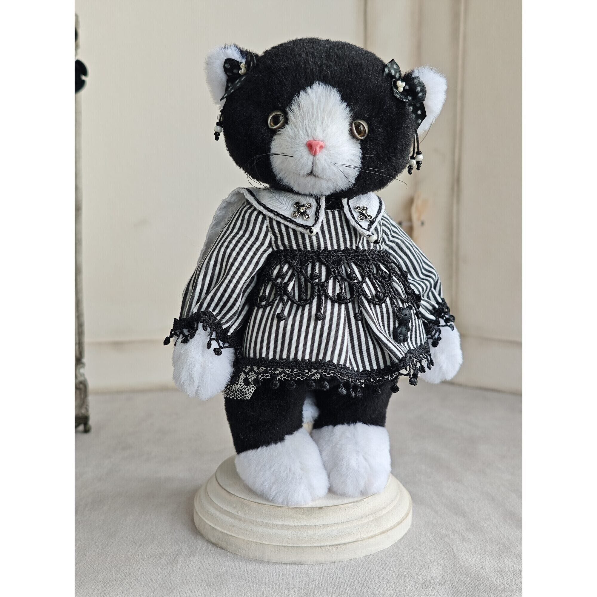 Teddy cat