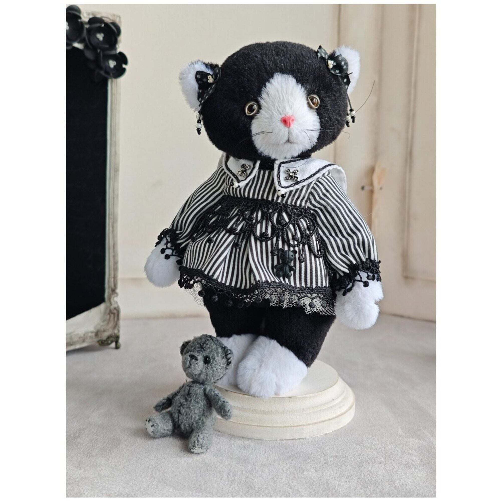 Teddy cat