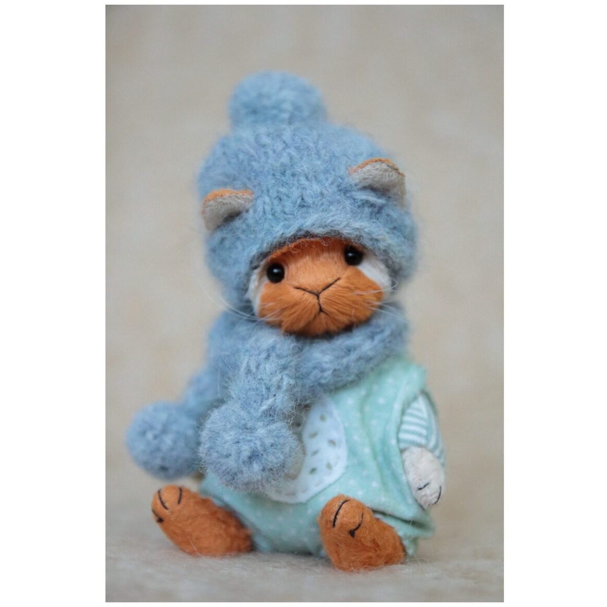 Teddy cat Andre