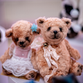 Author's Teddy bears