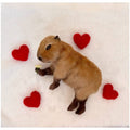 Capybara