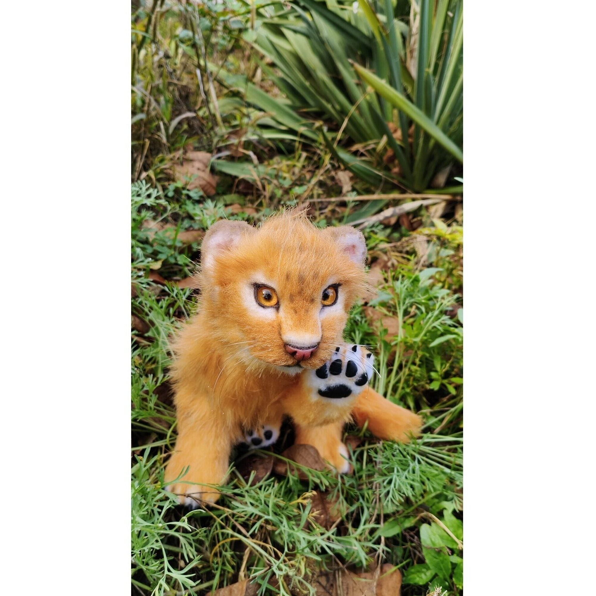 Lion cub