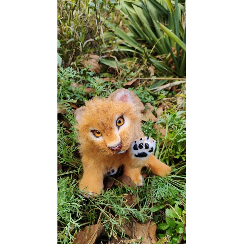 Lion cub
