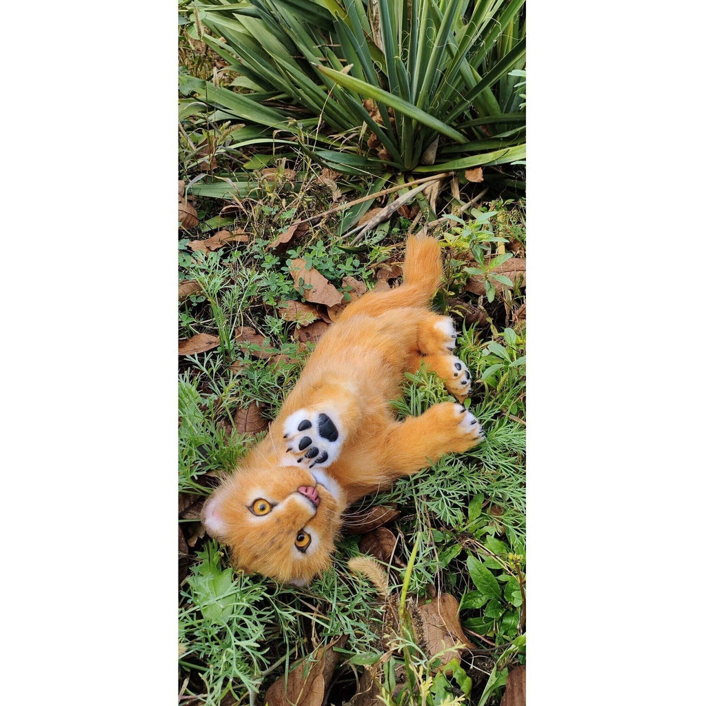 Lion cub