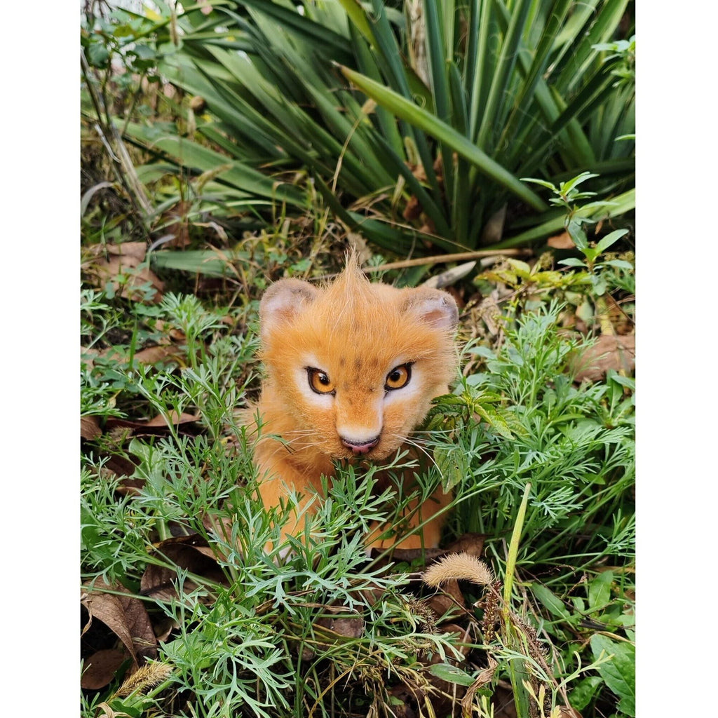 Lion cub