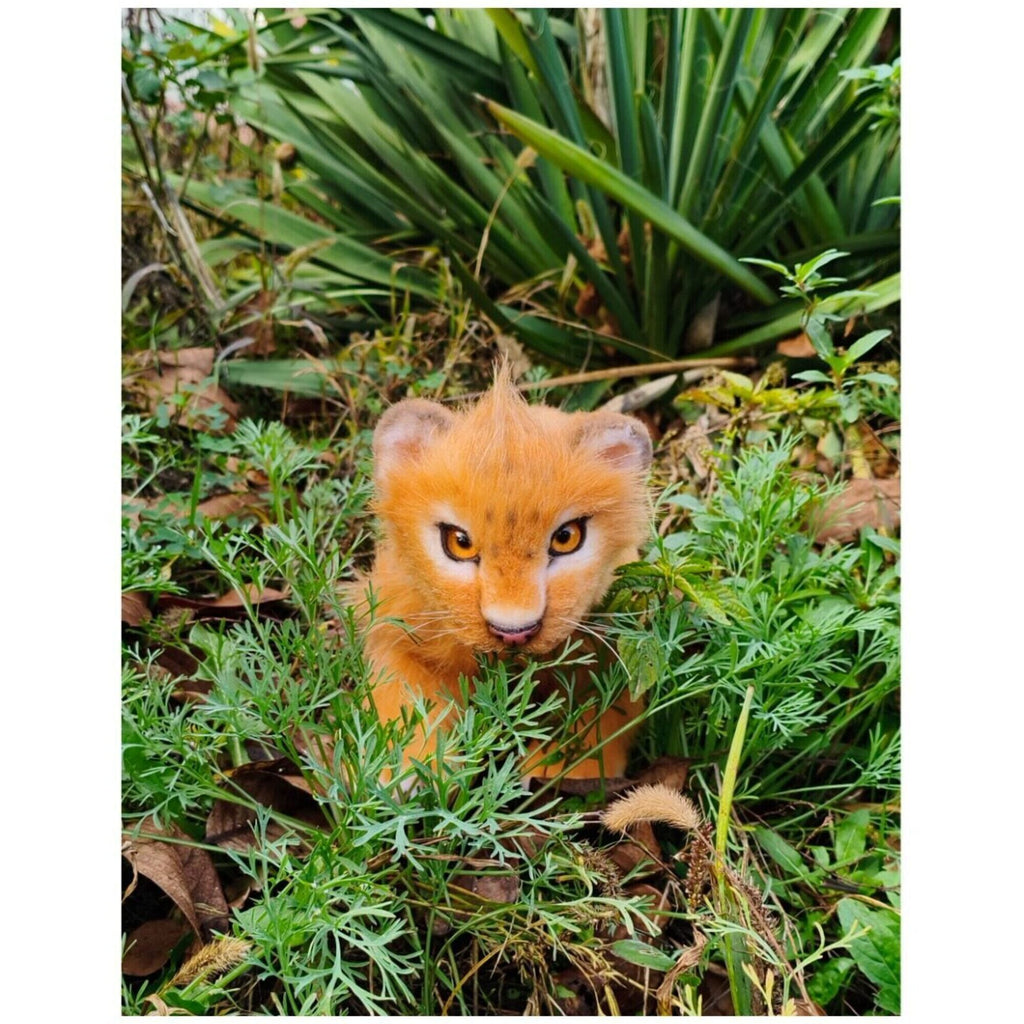 Lion cub