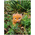 Lion cub