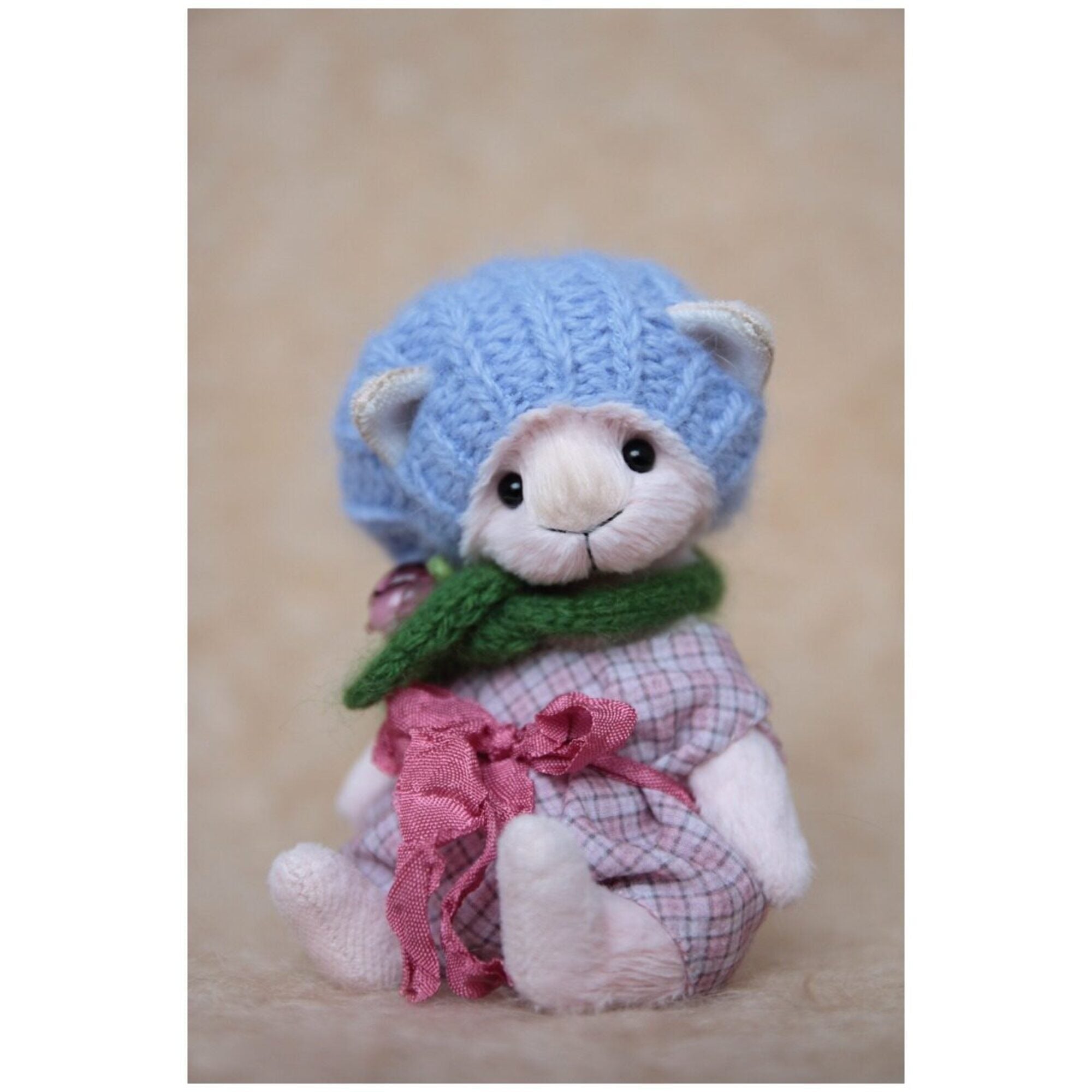 Teddy cat Paule