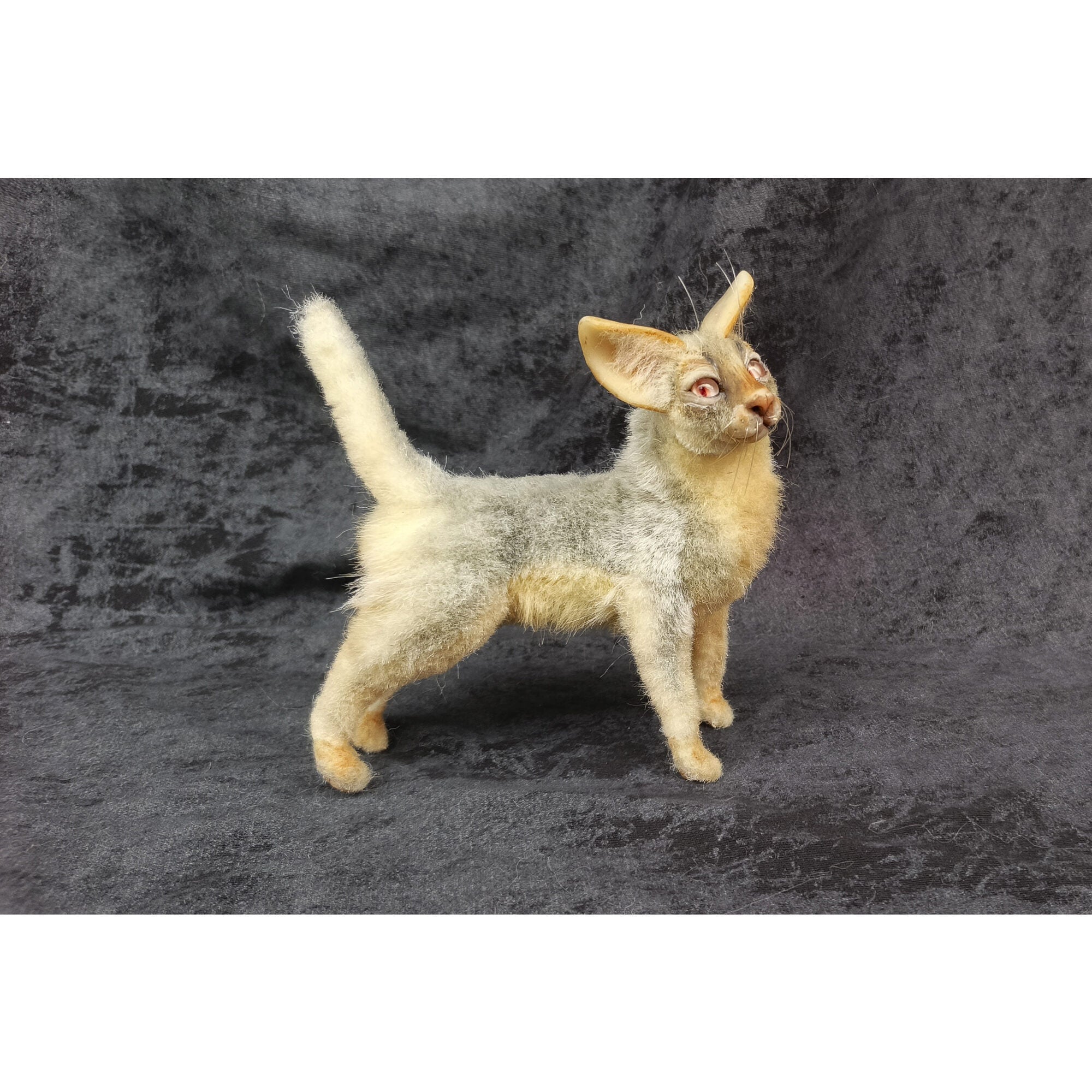 Cat miniature animal realistic