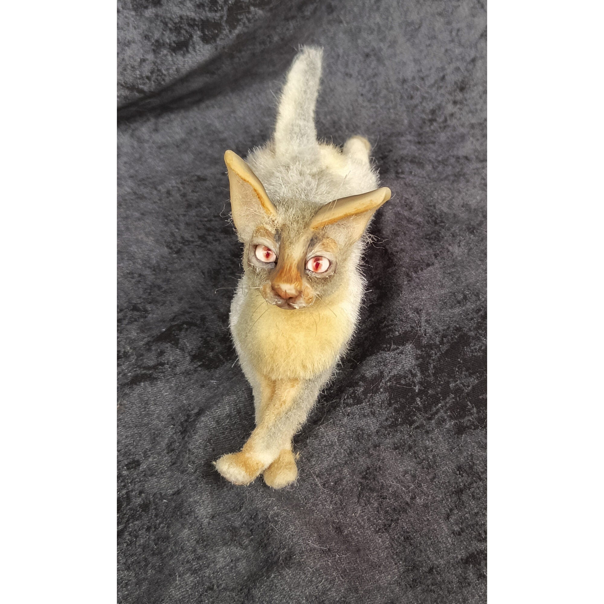 Cat miniature animal realistic