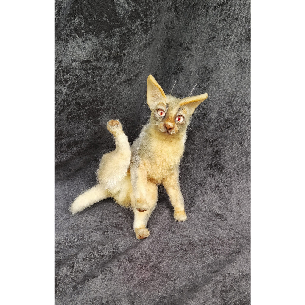 Cat miniature animal realistic