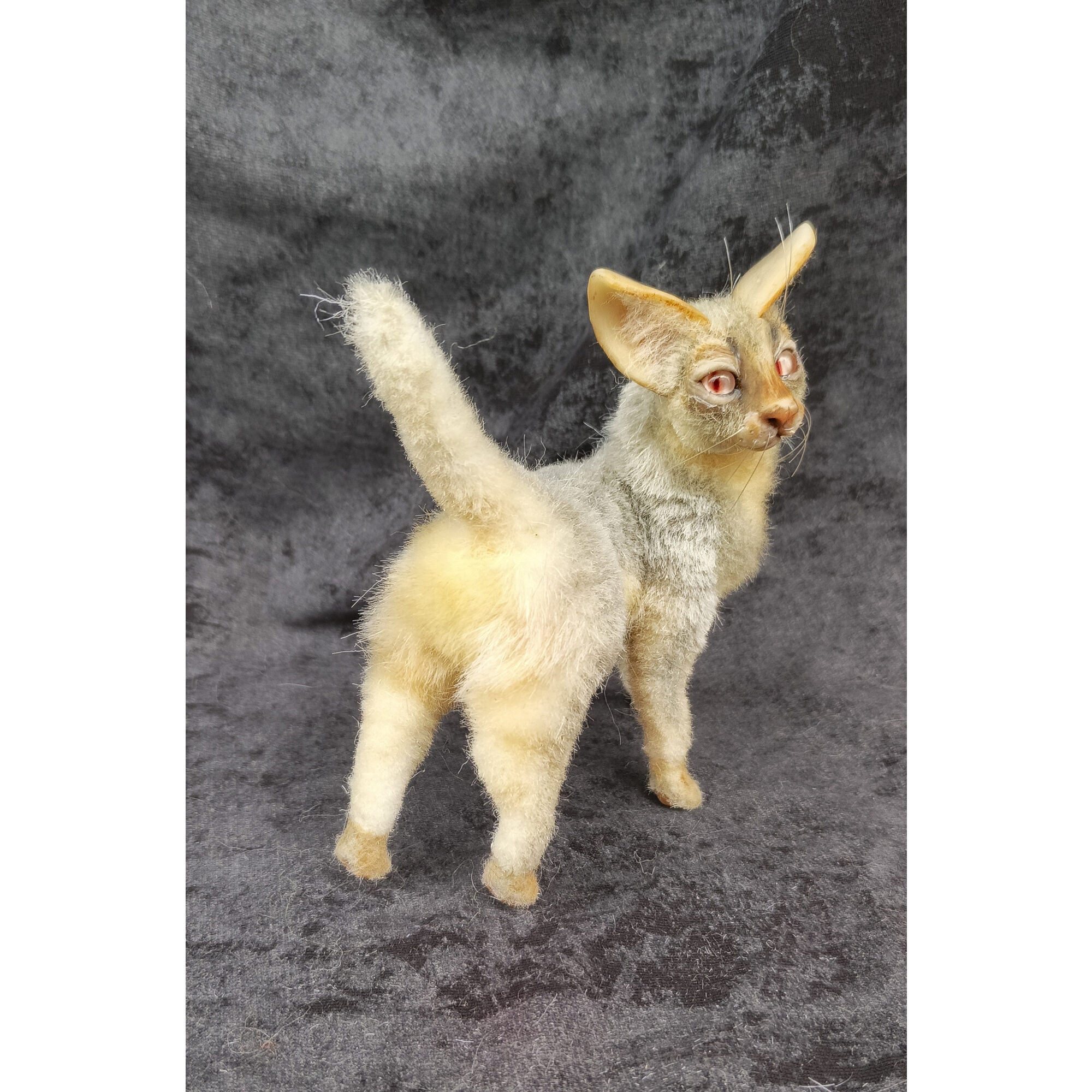 Cat miniature animal realistic