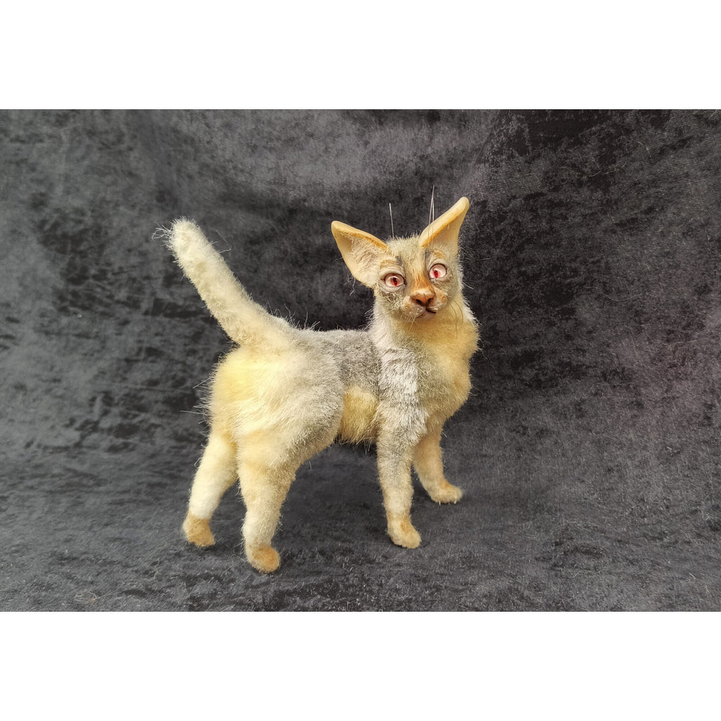 Cat miniature animal realistic