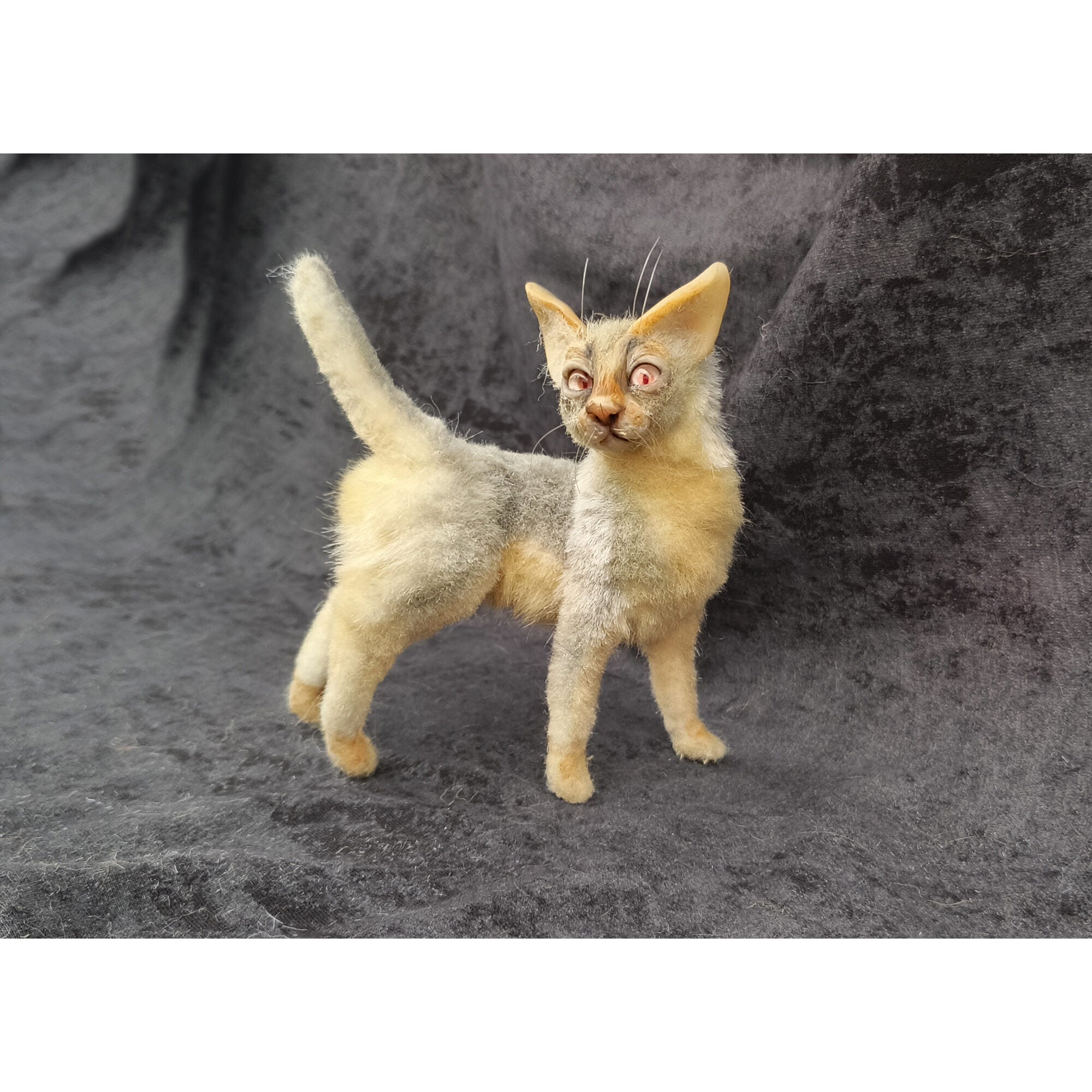 Cat miniature animal realistic