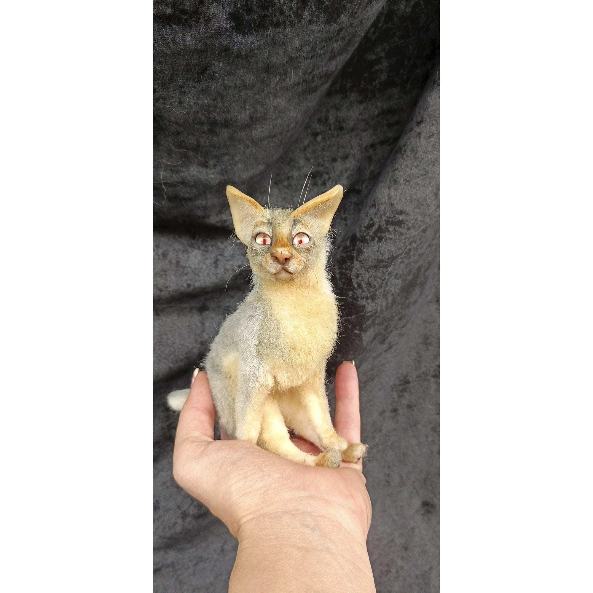 Cat miniature animal realistic