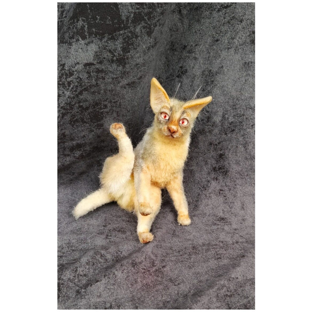 Cat miniature animal realistic