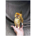 Cat British realistic miniature poseable