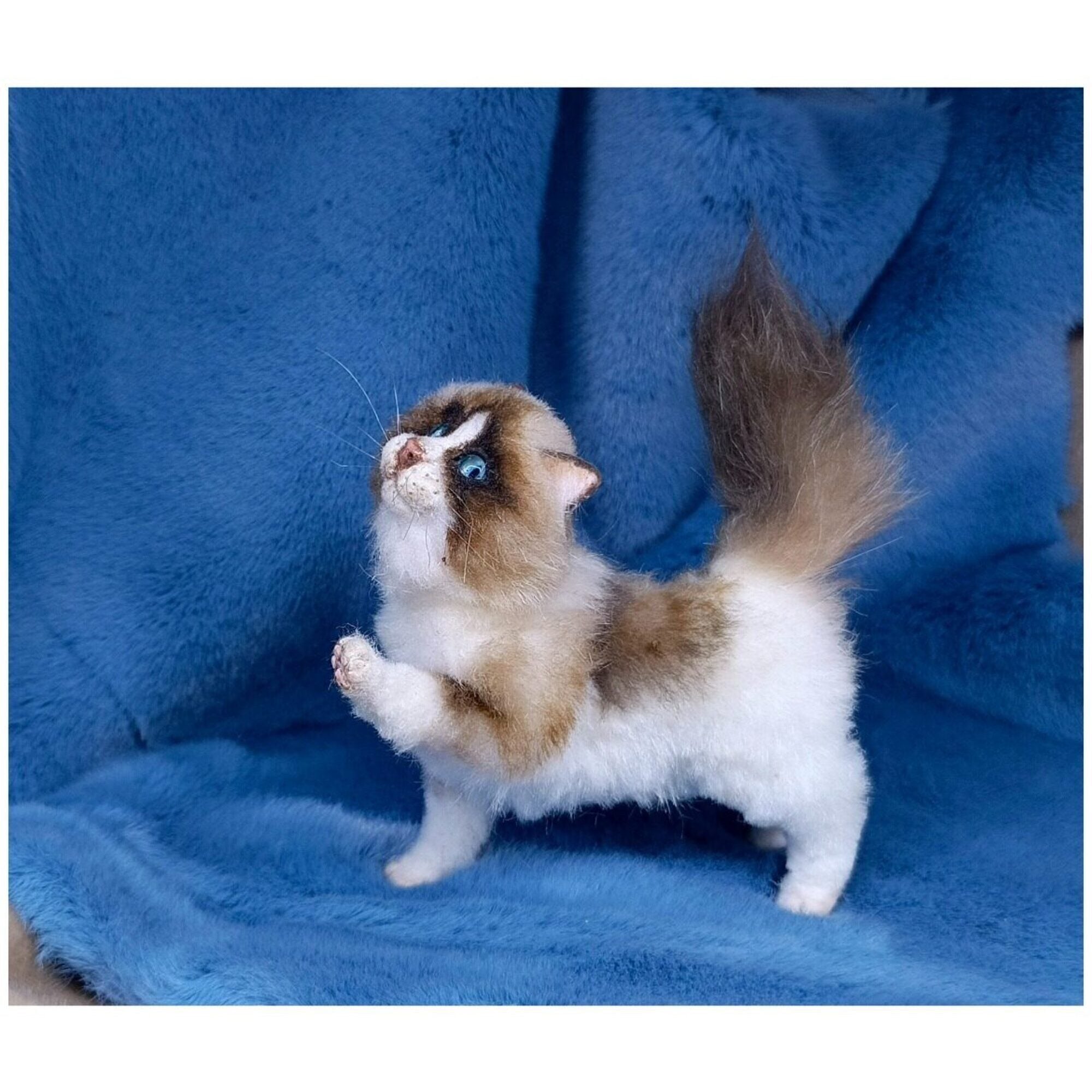 Cat miniature. Animal doll poseable