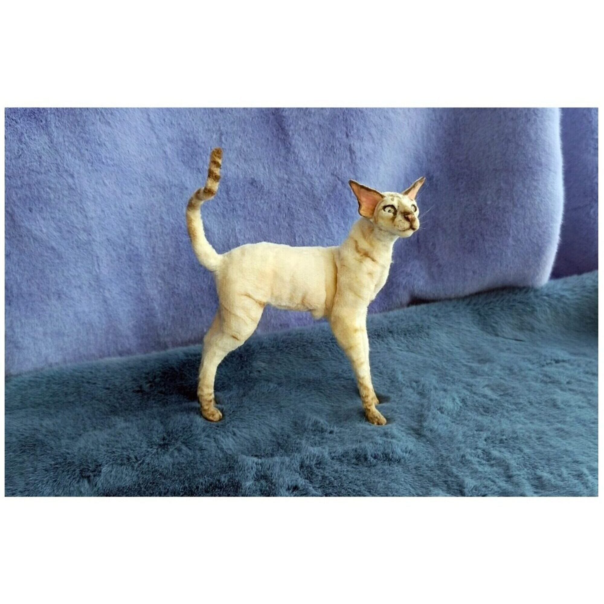 Cat oriental miniature