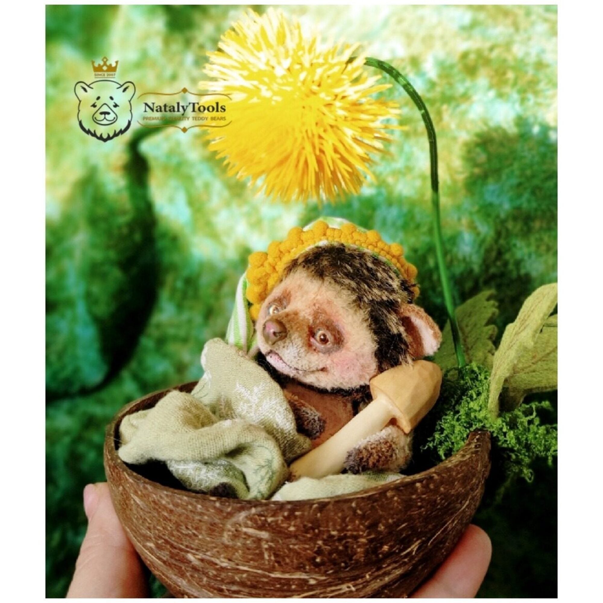 Hedgehog in Coconut