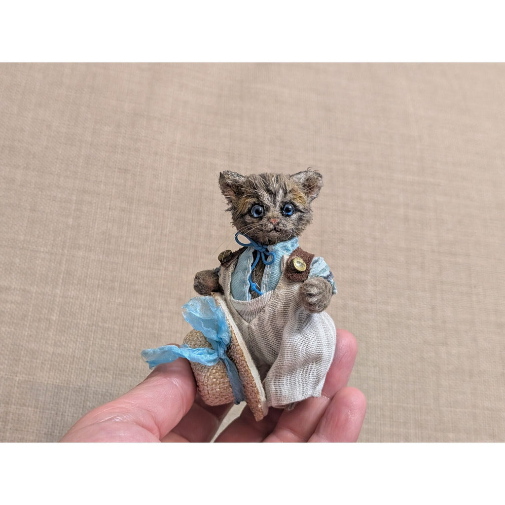 Томас кот