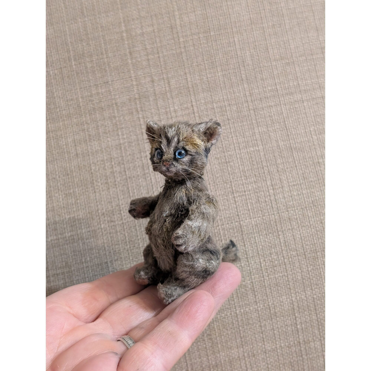 Томас кот