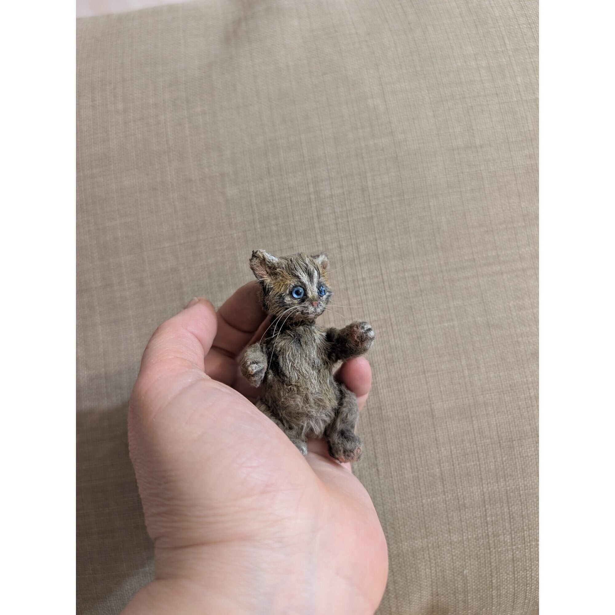 Томас кот