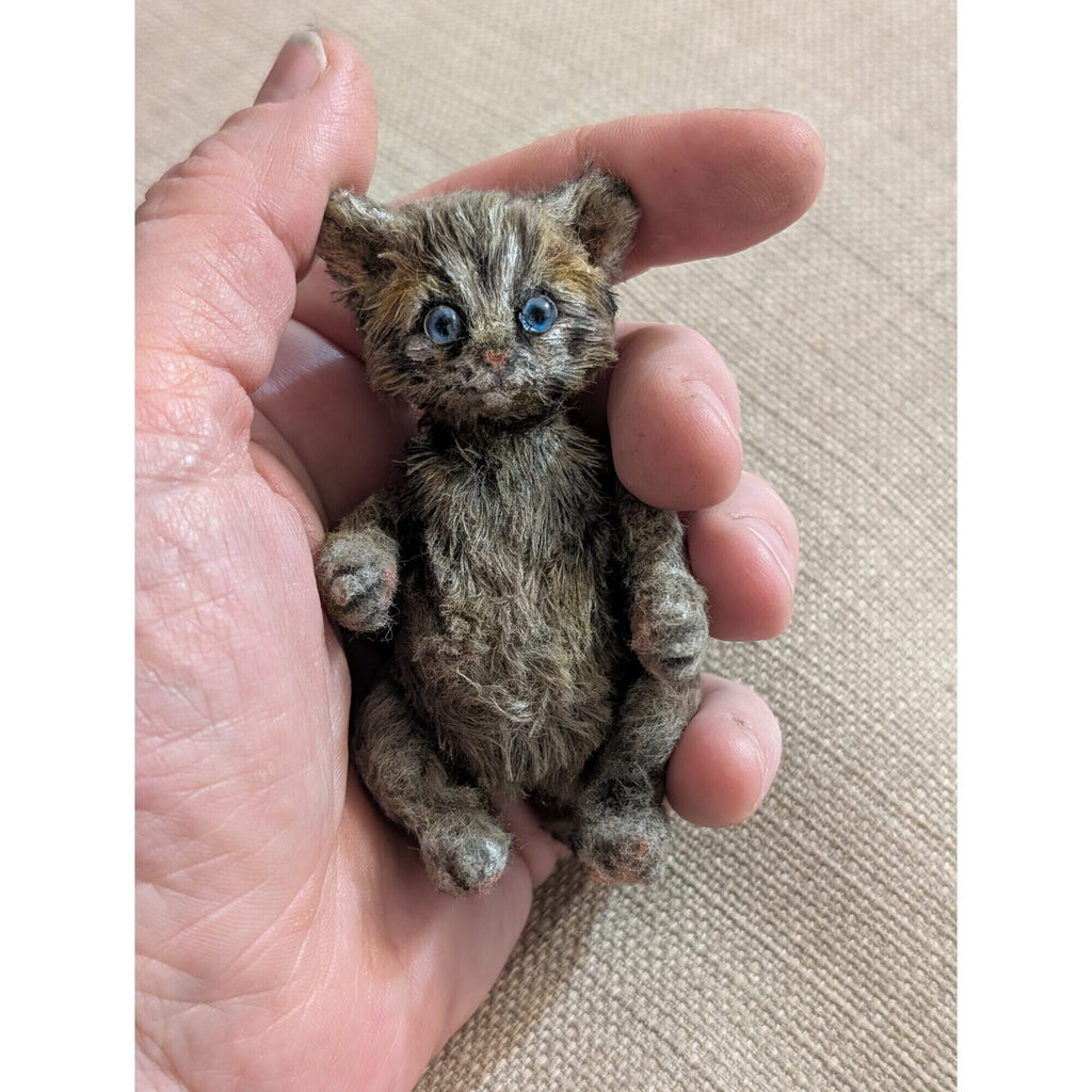 Томас кот