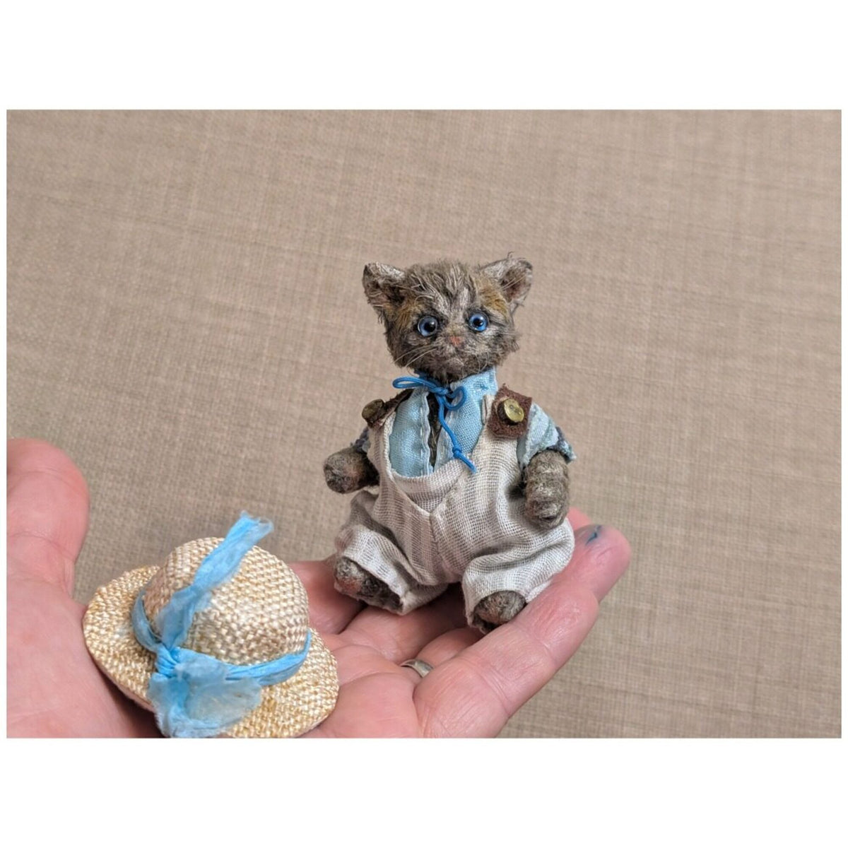 Томас кот