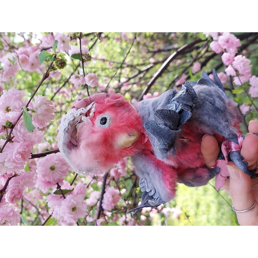 Teddy parrot