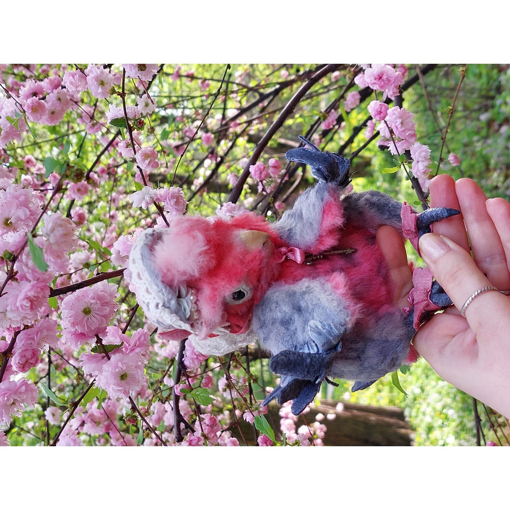 Teddy parrot