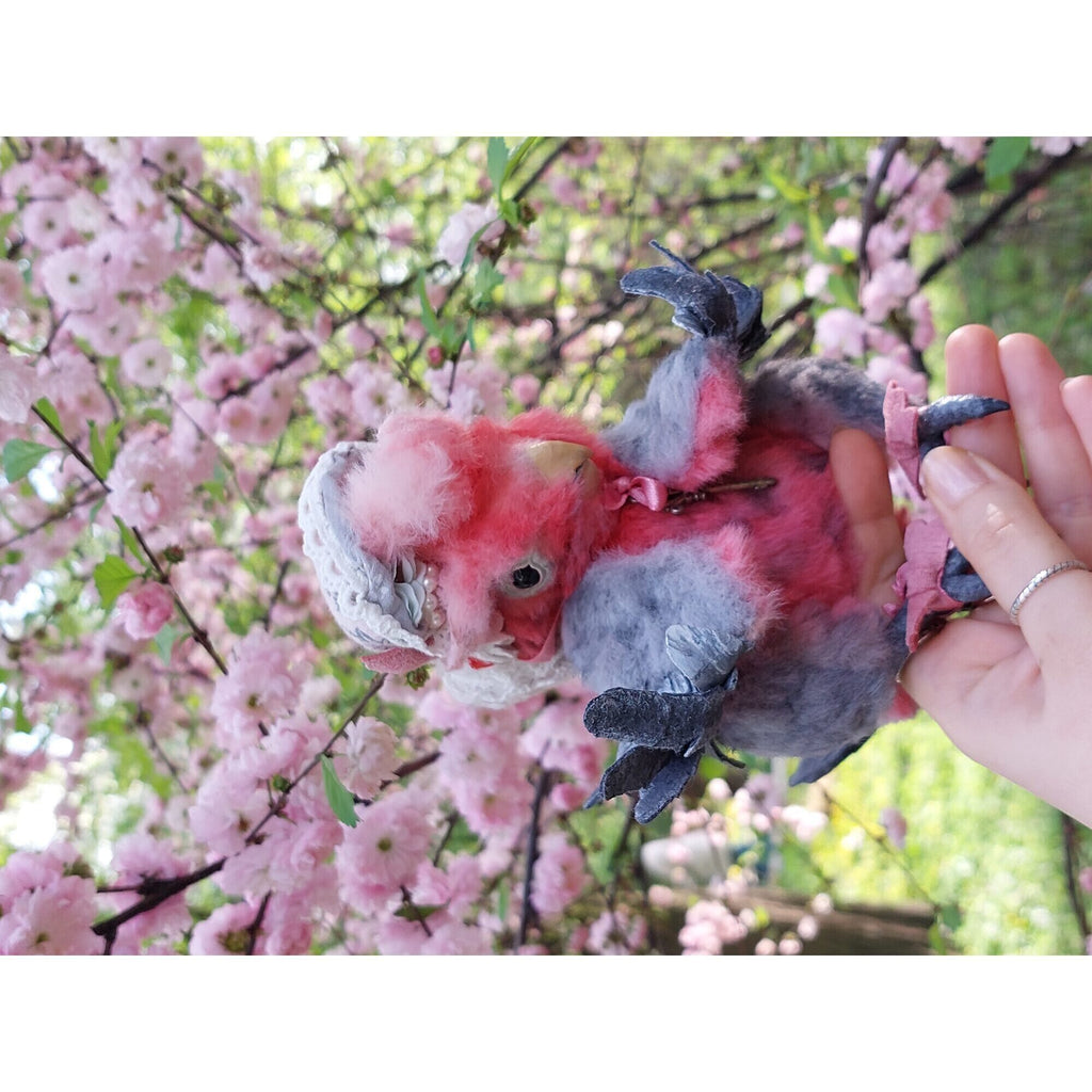 Teddy parrot