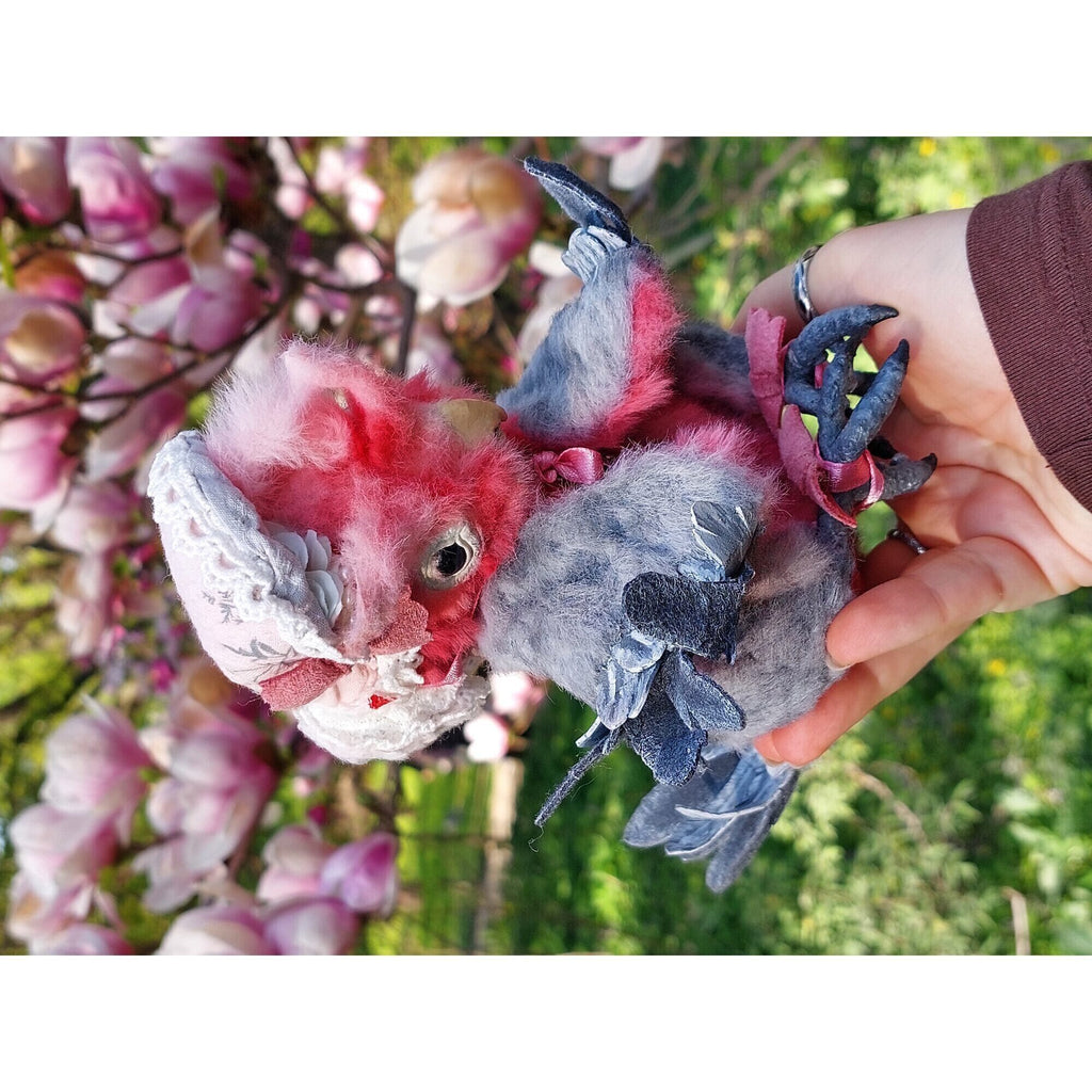 Teddy parrot